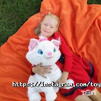 ToyExpress.com.ua Дніпро фото