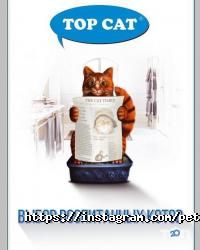 відгуки про PetStore фото