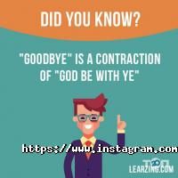 Драгоман отзывы фото