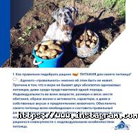Белгосстрах відгуки фото