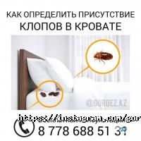отзывы о ЦентрГорДез фото