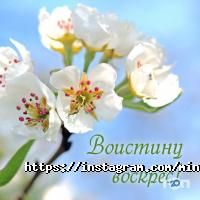 Minikin Харків фото