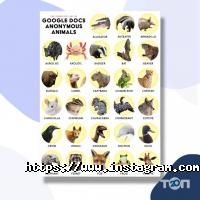 Gts agency, веб-студія фото