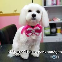 Mimi pets відгуки фото