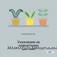 Продаж оздоблювальних матеріалів MyDeco фото