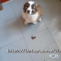 отзывы о Византия фото