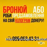 CAT&DOG відгуки фото