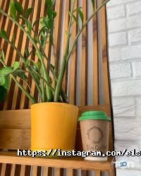 Кав'ярні та кондитерські Enso Coffee фото