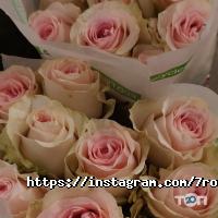 Магазини квітів 7 троянд фото