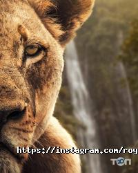 Royal Motors отзывы фото