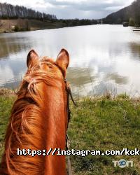 Хобби Пассаж фото