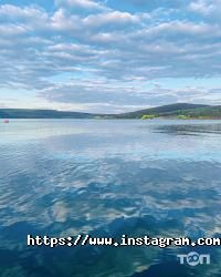 отзывы о Alpina Sofi фото