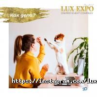 відгуки про Lux-Expo фото
