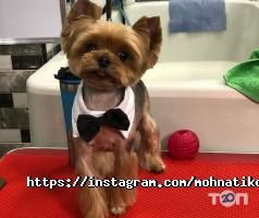 відгуки про Моhnatikoff фото