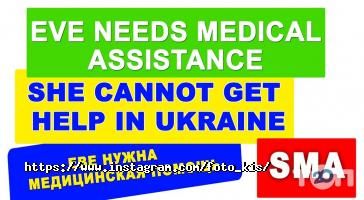 Kis відгуки фото