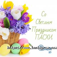 відгуки про Альфа Пак Одеса фото