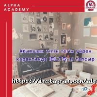 Alpha Academy отзывы фото
