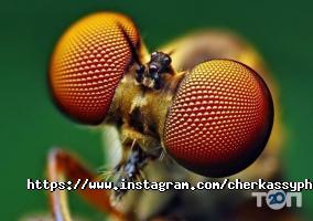 відгуки про PhotoCity фото