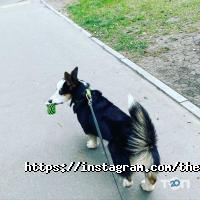 Gusto coffee відгуки фото