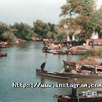 Seadora відгуки фото
