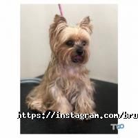 Bruno Groom, зооцентр фото