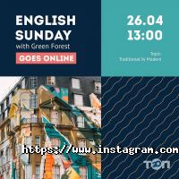 відгуки про Грін Форест фото