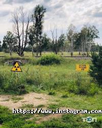 Центр концертних та фестивальних програм Вінниця фото