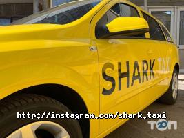Shark taxi Чернігів фото