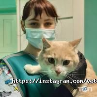 Оберіг, ветеринарна клініка фото