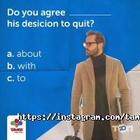 Tamos Education отзывы фото