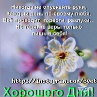 Магазины цветов Цветландия фото