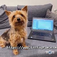 відгуки про Sgs фото