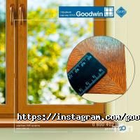 Goodwin, магазин дверей фото