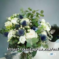 Salvia Харків фото