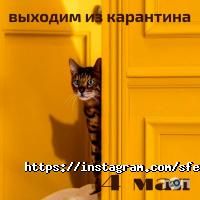 Сфера быта.тут, мастерская по установке кнопок, ремонту сумок и чемоданов фото
