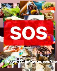 Зворушливий Харків фото