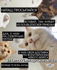 відгуки про DoubleDecker фото