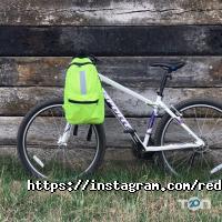 Магазини одягу та взуття Red and Dog фото