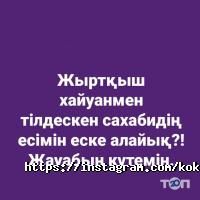отзывы о Кок кайнар фото
