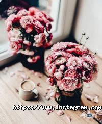 Barista hub відгуки фото