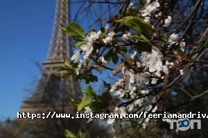 відгуки про Феєрія фото