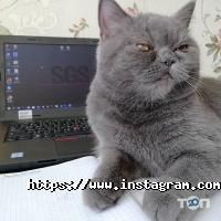 Продаж будівельних матеріалів Sgs фото