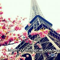 Мега-Поліс Киев фото