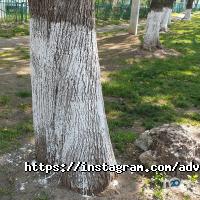 Донець і партнери адвокатське об'єднання фото