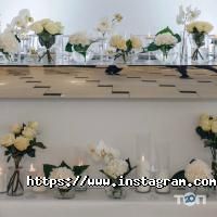 Wedding Event Decor отзывы фото