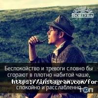відгуки про Фортуна фото