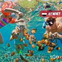 Up Tour, туристичне агентство фото