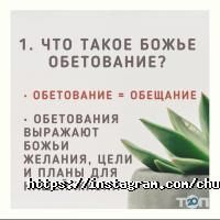 отзывы о Агапе фото