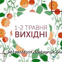 Study Academy, академія англійської мови фото