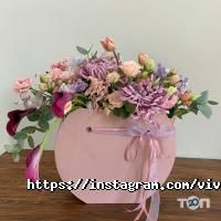 Viva Харків фото